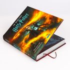 „J.K. Rowling, Harry Potter und der Halbblutprinz, Illustriert von Levi Pinfold“. Buch mit feuriger Cover-Illustration.