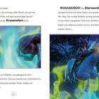Zwei Textpassagen beschreiben eine Flucht vor dem "Sternenräuber". Eine Illustration zeigt Figuren und ein Einhorn in actionreicher Szene.