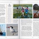 **Text:**
„Lediglich zehn von den im Mittelalter rund 100 Halligen bestehen noch heute. Wie lange werden sie den Fluten noch trotzen?“  
„Die Brandseeschwalbe“ – Information über die bedrohte Vogelart.

**Beschreibung:**
Eine Doppelseite mit drei Fotos und Text über Halligen und Vögel. Menschen waten durch seichtes Wasser.