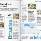 Iraklio und sein Hinterland: Kulturelle Highlights, Nachtleben. Tavernen, Palast von Knossos, Weine verkosten. Eintauchen & erleben.