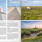 Texte beschreiben Perspektiven auf einen Leuchtturm, Deiche, Schafe und Küstenlandschaft. Bilder zeigen einen rot-weißen Leuchtturm, Holzweg, Schaf auf Blumenwiese und Küstenvorland bei Sonnenuntergang.