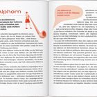 Alphorn: Ein berühmtes Instrument der Schweiz, um Kühe zu rufen. "Das Alphorn ist krumm, weil die Bäume krumm waren".