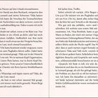 Texte: "Zurück in der Wohnung angekommen stellte ich...", "2. Dezember". Eine doppelseitige Buchseite mit Textabsätzen.