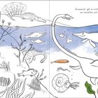 "Dinosaurier gab es nicht nur an Land, sondern sie tummelten sich auch im Wasser." Illustrationen von Meeressauriern.