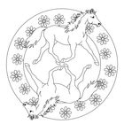 Zwei Pferde, die sich im Kreis spiegeln, umgeben von Blumen in einem runden Rahmen. Illustration in Schwarz-Weiß.