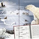 5x Rentier, 4x Walross, 2x Eisbär, 3x Polarfuchs, 1x Belugawal. Arktische Tiere mit Landschaft aus Eis und Wasser.