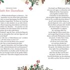 Theodor Storm: "Unter dem Tannenbaum". Weihnachtserzählung. Dekoration mit Tannenzweigen, Zapfen und Beeren oben und unten.