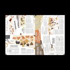 Ein Kaffeeatlas mit Texten wie "KaffeeklÄr" und "Zwischen Bohnen und Bohème". Karten und Diagramme in Erdtönen.