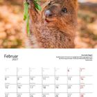 Text oben: "Hendrik". 
Kalenderseite Februar 2027. 
Ein Quokka hält lächelnd einen Zweig mit grünen Blättern.