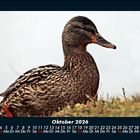 Cover/Product zoom