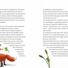 Text über eine geheime Überraschungsparty für Herrn Laubfrosch. Illustration: Ein Fuchs, Frosch und Specht. Seitenzahl 45.