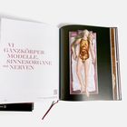 VI Ganzkörpermodelle, Sinnesorgane und Nerven. Auf der rechten Seite eine anatomische Illustration einer Frau.