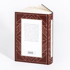 Brauner Buchrücken und -umschlag mit geometrischem Muster, Rückseitentext über Felix Krull und Thomas Mann.