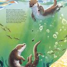 Text oben: klickende Steine, Otter spielen im Wasser. Darunter zwei Otter, Baumlandschaft im Hintergrund, Fische schwimmen.