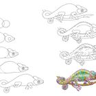 Zeichenschritte eines Chamäleons: Oben links einfache Kreise, rechts detaillierter; unten farbiges Chamäleon auf Ast.