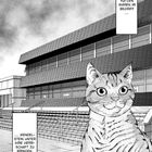 Text: "Die Katzen waren im Begriff ... Wendelstein unter ihre Herrschaft zu bringen." Illustration eines Gebäudes und einer Katze.