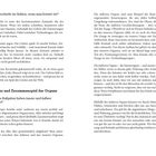 Texte: 
Seitenzahlen 68 und 69. 
Themen: Kreativität, Gehirn, Organe, innere und äußere Organe, Sinne.