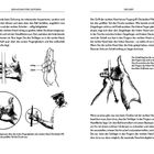 Text: „Der Griff der rechten Hand ist ein Fingergriff.“

Illustrationen zeigen Golf-Grifftechniken. Hände halten Schläger korrekt.