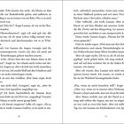 Zwei Buchseiten mit fortlaufendem Text in deutscher Sprache. Die Handlung dreht sich um die Sorge einer Person namens Georgina um Toby und eine Unterhaltung mit Luanne über familiäre Probleme und Herausforderungen.