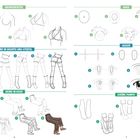 "Bikinioberteil", "Auge", "Augen", "Beine in Shorts und Stiefel", "Beine in Hose", "Grüne Pumps". Illustrationen zur Mode.