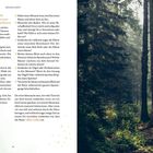 Links Text über den bewussten Spaziergang in der Natur. Rechts ein Wald mit hohen Bäumen und Lichtstrahlen.