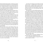 Seitenzahlen 8 und 9. Text beschreibt eine Szene mit Marcella, Supermarkt, Trauergäste. Gedanken über Giulia und Minestrone.
