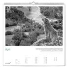 Text: "April" und Zitat über das Leben und Lesen. Schwarz-weiß Foto: Hund steht auf Felsen, schaut ins Tal mit Bäumen.