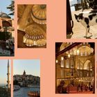 Mehrere Aufnahmen historischer Gebäude und Innenräume mit verzierten Decken, dazu eine schwarz-weiße Katze.