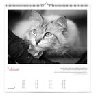 Kalenderseite Februar; Zitat über eine Katze namens Fledermaus; Schwarz-Weiß-Foto: Katze auf Ast; Datumsangaben unten.