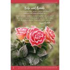 "Liebe und Gnade. Das Urteilen über andere macht uns blind, während die Liebe erhellend ist." Rote Rosen mit Frost.