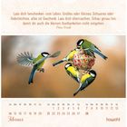 Text: „Lass dich beschenken vom Leben..." Darunter fliegende Meisen an einer Futterkugel, Monat Februar.