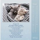 Ein Gedicht über Nähe und Geborgenheit, Foto von zwei kuschelnden Kätzchen und ein Kalender für Februar mit hervorgehobenen Sonntagen.