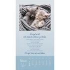 Ein Kalenderblatt für Februar mit einem Gedicht über Nähe. Zwei schlafende Kätzchen kuscheln in einer grauen Decke.