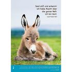 Text: "Seid still und erkennt: Ich habe Macht über die ganze Welt. Ich bin Gott. nach Psalm 46,11." Ein liegender Esel.