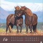 Kalender für Februar mit zwei braunen Pferden auf einer Wiese, im Hintergrund Schneebedecktes Gebirge.