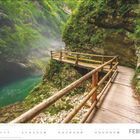 FEBRUAR. Holzsteg in grüner Schlucht, glasklares Wasser, üppige Vegetation, neblige Stimmung.