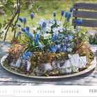 "FEBRUAR; eine Blumendekoration aus blauen und weißen Blumen auf einem Tisch, daneben ein graues Tuch. Hintergrund: blühender Garten."