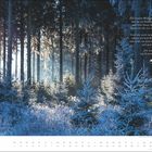 Text von Rainer Maria Rilke über einen wachen Wald. Winterliche Waldszene mit Sonnenlicht durch baumbestandene Fichten. Kalender zeigt Februar.