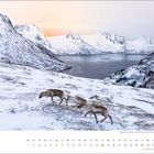 Text: "februar", Monatskalender mit Schneelandschaft. Drei Rentiere laufen in winterlicher Berglandschaft, See im Hintergrund.