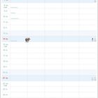 Kalendereintrag Februar 02, mit Illustrationen von Tieren und einer Katze, die auf Futter wartet. Feiertage sind markiert.