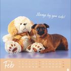 "Always by your side!" steht neben einem Plüschhund und einem kleinen braunen Hund. Darunter ist ein Kalender für den Februar.