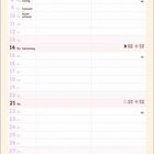 Kalenderseite Februar, Herzillustrationen, Katze, Text: Sweet on You, Runde Plakette mit "02".