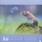 Februar-Kalender mit Maus und Glöckchenblume, Marienkäfer oben. Blauer Hintergrund, Wochentage und Daten in Listenform.