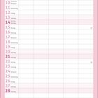 Kalenderblatt Februar: Tage 1-28, Valentinstag am 14. Illustration: Herz mit Fallschirm, gestapelte Briefe mit Schleife.