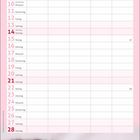 Kalender für Februar. Wochentage und Daten in Rosa. Unten: Katze mit rotem Wollknäuel auf weißem Untergrund.