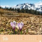 "Februar. Erreiche den Gipfel der Leere, bewahre die Fülle der Ruhe. Krokusse blühen auf einem Feld vor schneebedeckten Bergen."