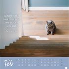 Zitat: "Du musst nicht die ganze Treppe sehen, nimm einfach die erste Stufe." Eine graue Katze sitzt oben an Holzstufen. Februar-Kalender darunter.