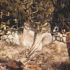 "02" und darunter Zahlen von 1 bis 28. Ein riesiger Baum in einer Stadtlandschaft, Ballon und Boote im Wasser.