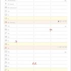 Kalenderblatt für Februar. Namenstage und Feiertage wie Rosenmontag. Illustration von einem Jungen neben einer Rose.