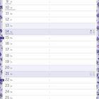 Kalender für Februar mit Blumenrahmen. Tage und Ereignisse wie Rosenmontag und Valentinstag sind notiert.